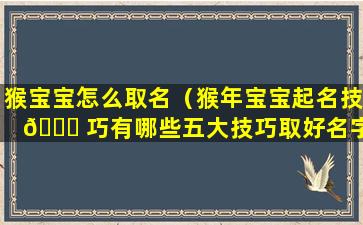 猴宝宝怎么取名（猴年宝宝起名技 🐈 巧有哪些五大技巧取好名字 🌵 ）